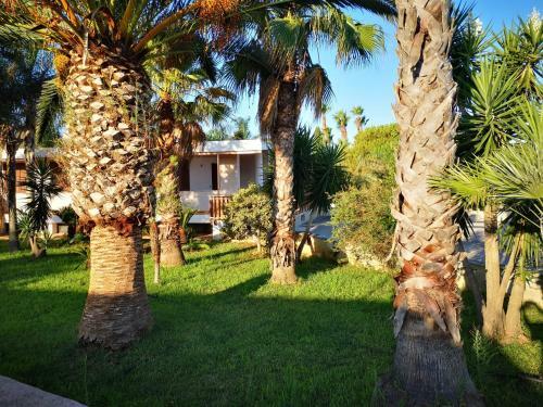 Villa Civetta A Galatina - Le07502991000024418