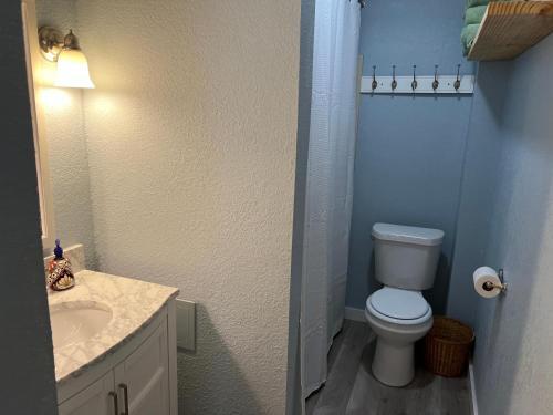Newly Renovated Historic Potwin Home, Large Yard Tk3-1720