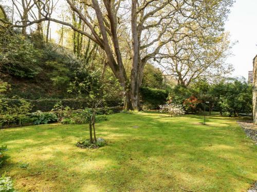Cysgod Y Coed