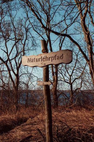 Auszeit Tollensesee