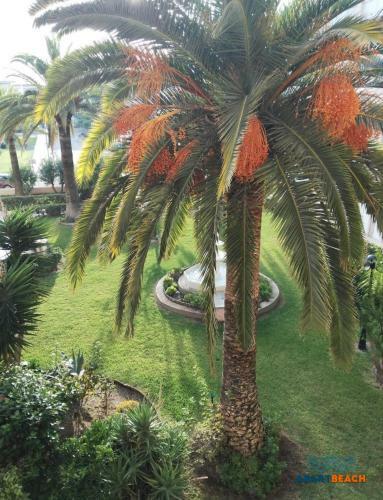 Apartbeach Paradis Playa Front Beach