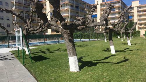 Apartamento La Pineda III