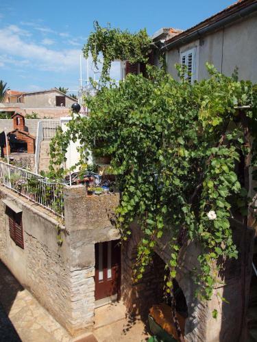 Apartment Anic