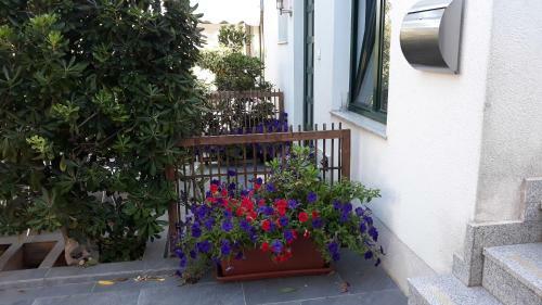 Apartments Suljic