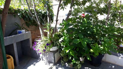 Apartments Suljic