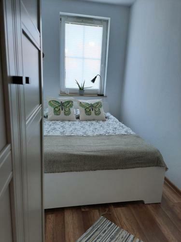 Apartament Felina