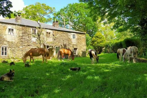 Apartamento Granja Labrada: Alojamiento Con Caballos