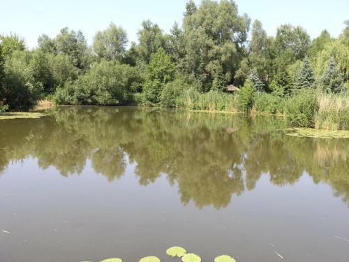 Posada Orlik-zak?tek Wysiad?�w