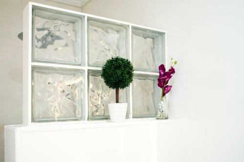 Bright & Quiet Apartment Malaga Center