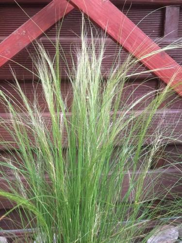 Apartamento Haus Tanneck Whg 7