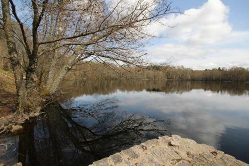 Petit Paradis Au Coeur Du Morvan