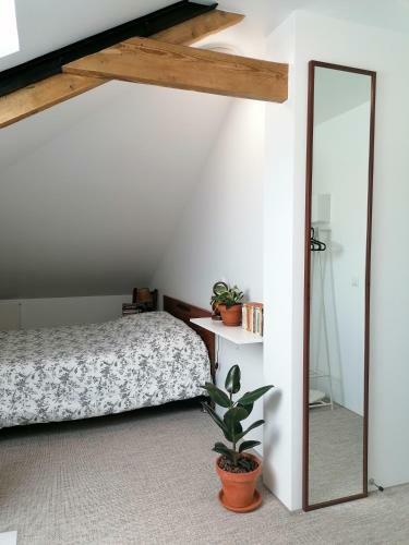 Apartamento Dunke