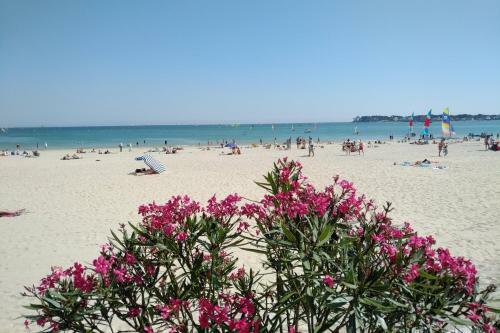 Apartamento Le Capitole - Studio Acc�s Direct Plage Benoit