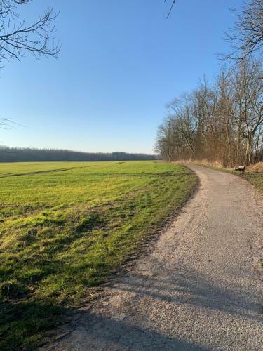 Apartamento Sch�ne Eigentumswohnung Mit Garten