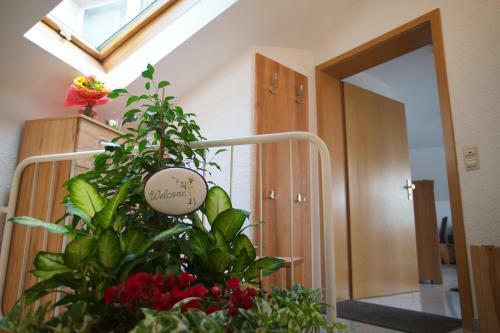 Neumann Apartment