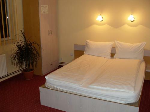 Hostal Pensiunea Beverly Hills
