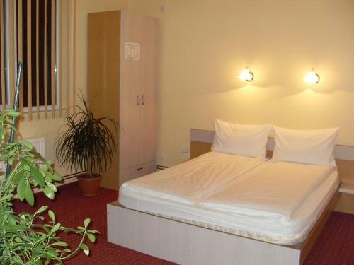 Hostal Pensiunea Beverly Hills