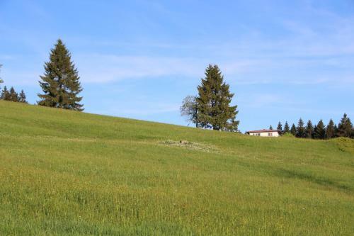 Apartman Mitterdorf Almberg 7