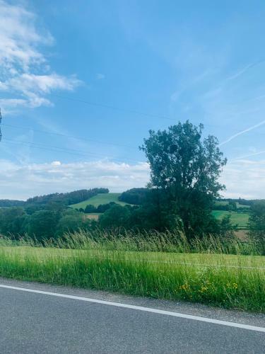Wellness Am Wald Bed & Breakfast & Massagen
