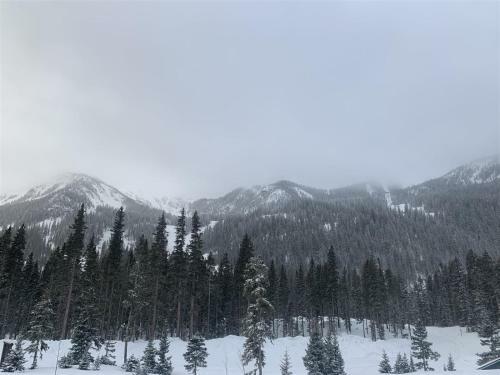 Apartamento Wheeler Peak 401