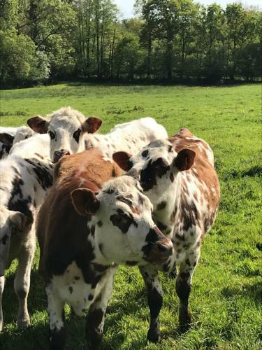Bed & Breakfast Escale De Gerbold