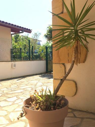 Apartamento New Vue Oc�an, 10 Min � Pied De La Plage
