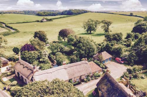 Stunning 3-bed Thatched Cottage In Dorset