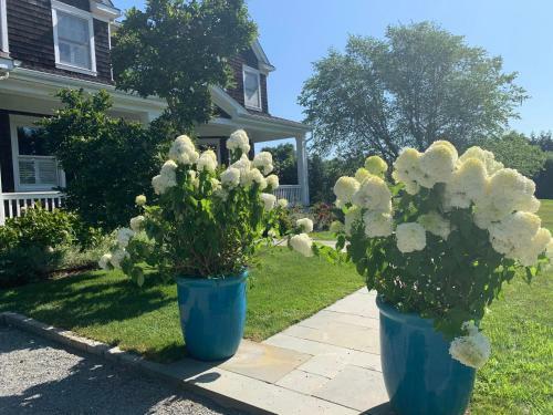 Windmill Lane Manor