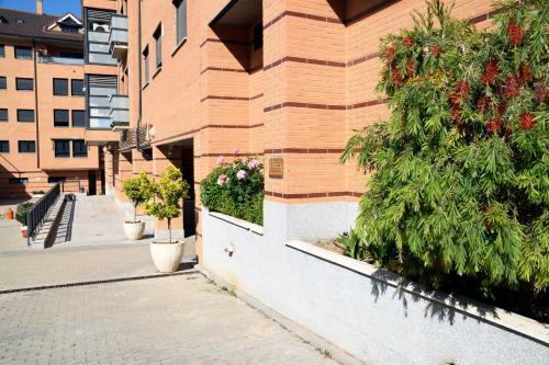 Apartamento Caballos - Ole Solutions