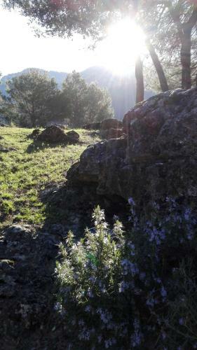 El Jabal� Contento