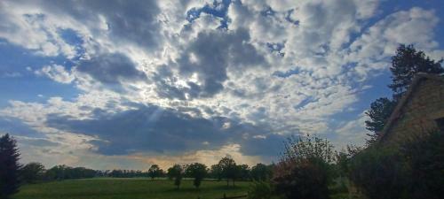 Domaine De Reni�re