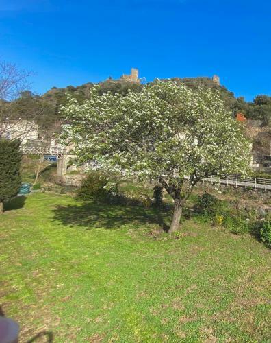 Apartamento Amazing Lastours 3* G�te