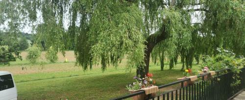 Beautiful 4 Bedroom Property Near To Monflanquin