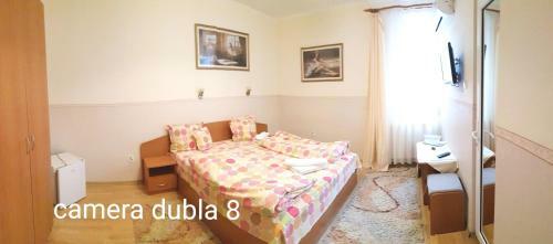 Hostal Pensiunea Veronica