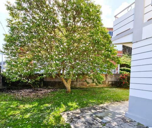 Apartamento La Casa Del Magnolio 3�