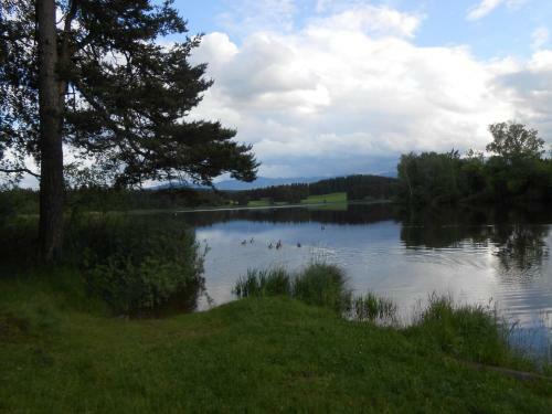 Apartamento Ferienwohnung Huber Am Deutensee