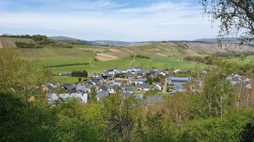 Apartamento Ferienwohnung Im Moseltal