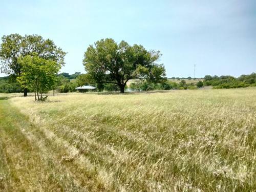 Miles And Miles Of Texas