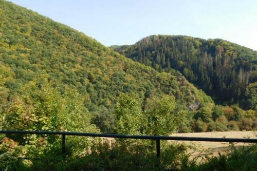 Apartamento Ferienhaus Hecker