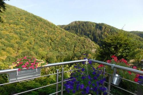 Apartamento Ferienhaus Hecker