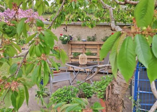 Ferienhaus Waren M�ritz See 10991