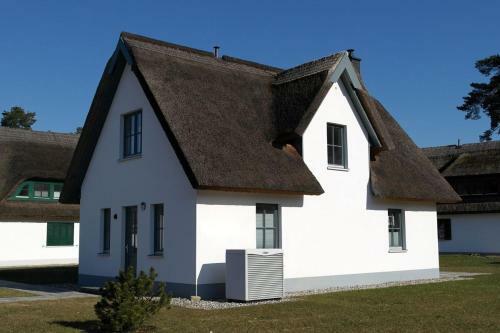 Fischerdorf, K�stenseeschwalbe