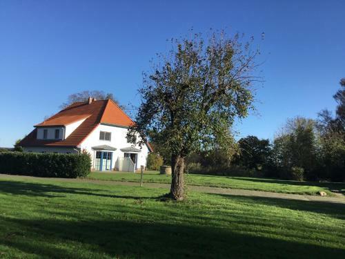 Dycke Haus 6