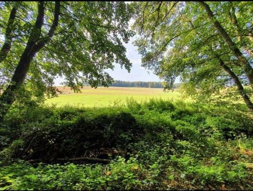 Apartamento Ferienwohnung-haustaedter-muehle