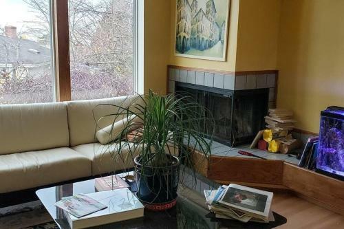 Hostal Quiet And Welcoming One Bedroom With Private Bath