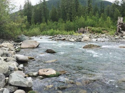 76gs - Genuine Log Cabin - Wifi - Pets Ok - Sleeps 4 Home