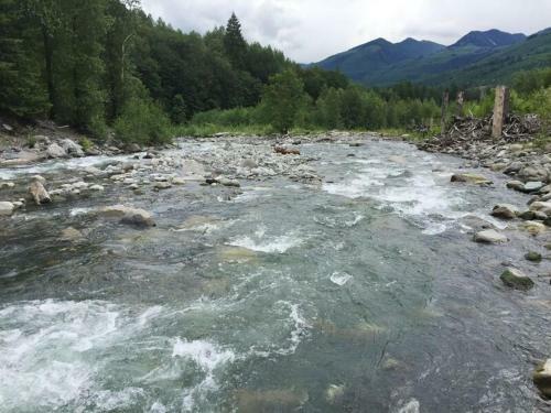 76gs - Genuine Log Cabin - Wifi - Pets Ok - Sleeps 4 Home