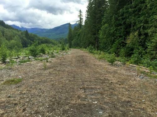 76gs - Genuine Log Cabin - Wifi - Pets Ok - Sleeps 4 Home