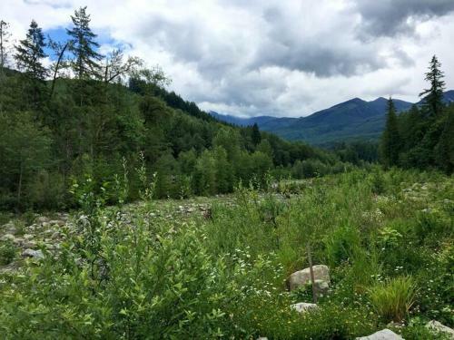76gs - Genuine Log Cabin - Wifi - Pets Ok - Sleeps 4 Home