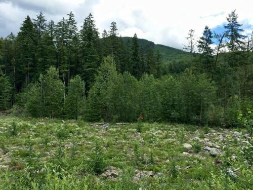 76gs - Genuine Log Cabin - Wifi - Pets Ok - Sleeps 4 Home